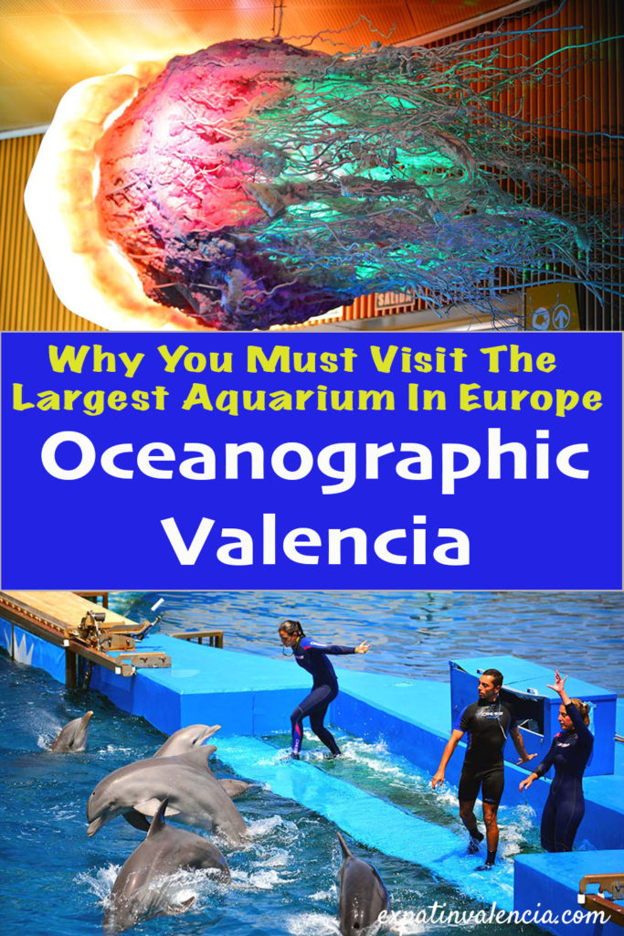 The Valencia Oceanographic is joyful for all