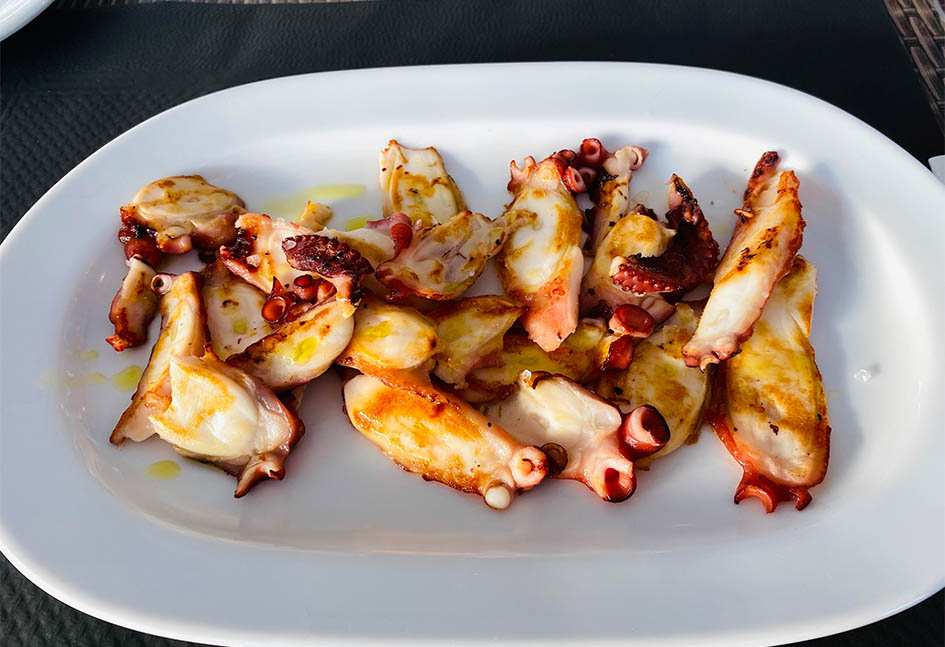 Valencia to Peniscola travel guide: what to eat... pulpo!