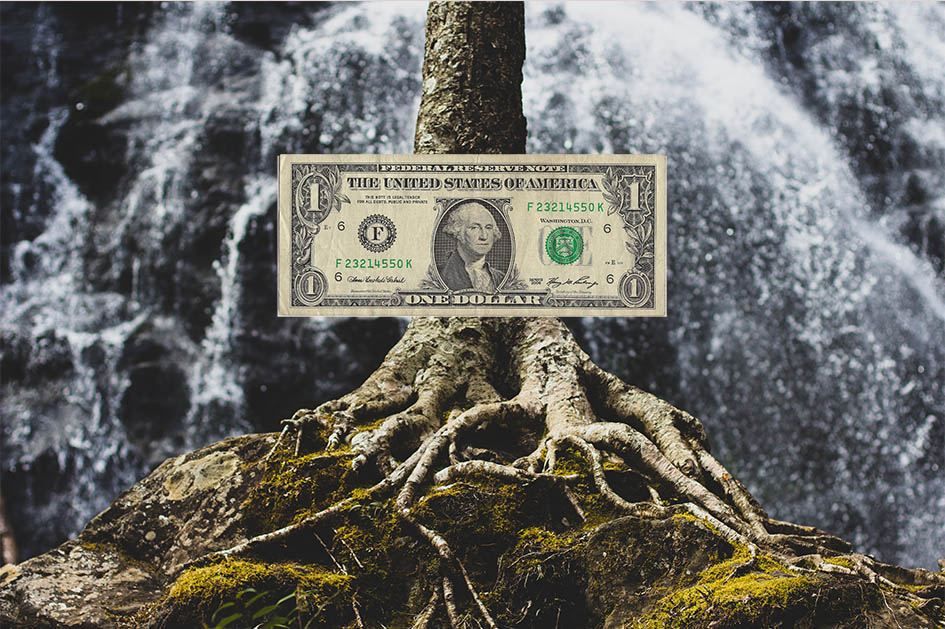 the dollar dominates, dollar tree