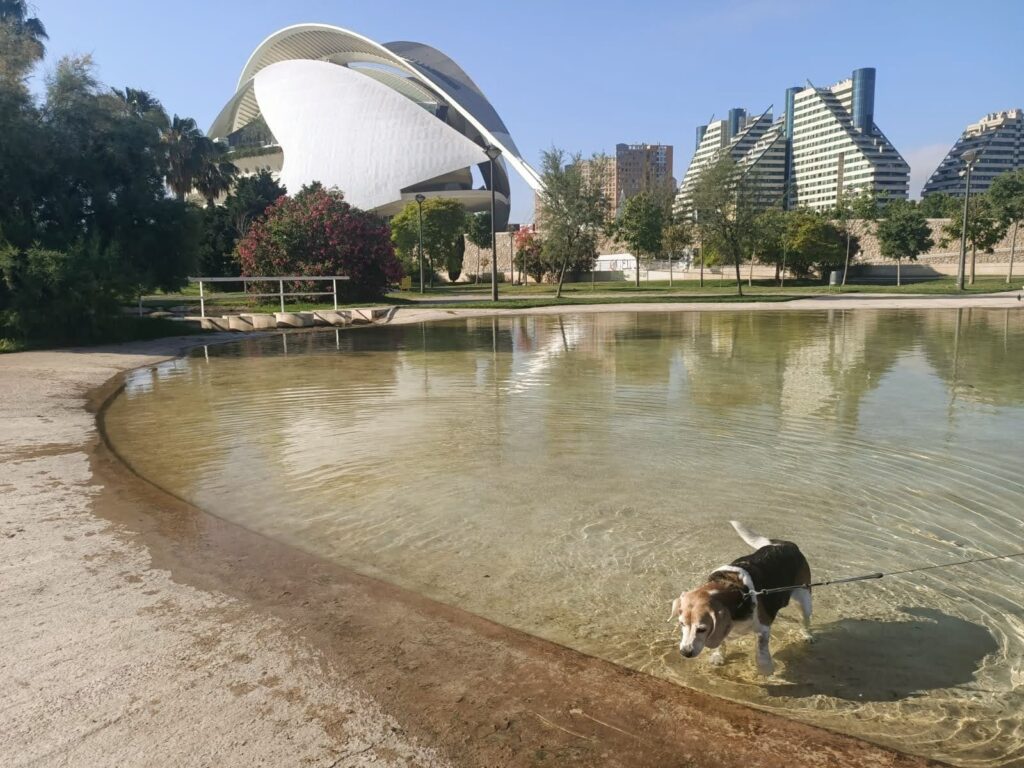 Is Valencia still a hidden gem? 2026 